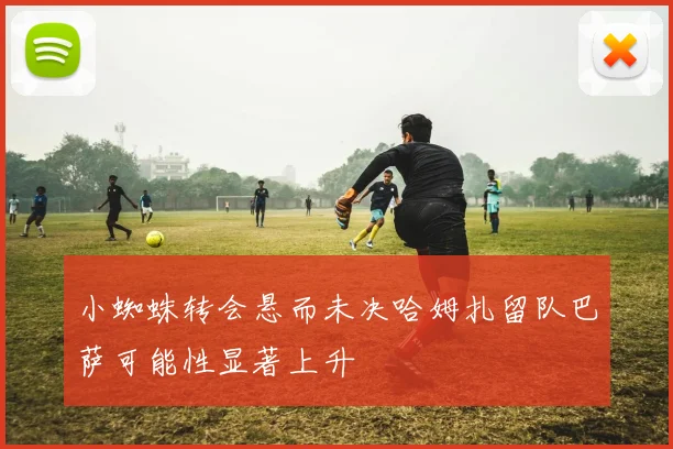 小蜘蛛转会悬而未决哈姆扎留队巴萨可能性显著上升